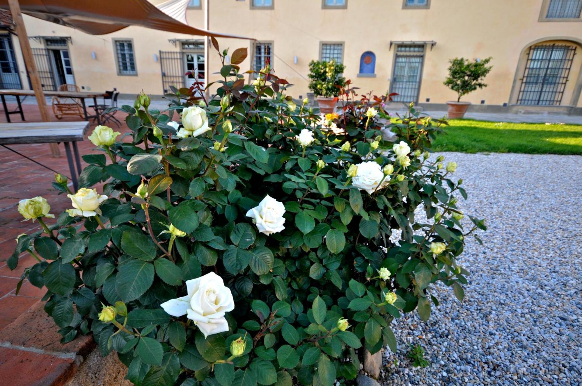 Agriturismo San Rocco Pistoia Ngoại thất bức ảnh