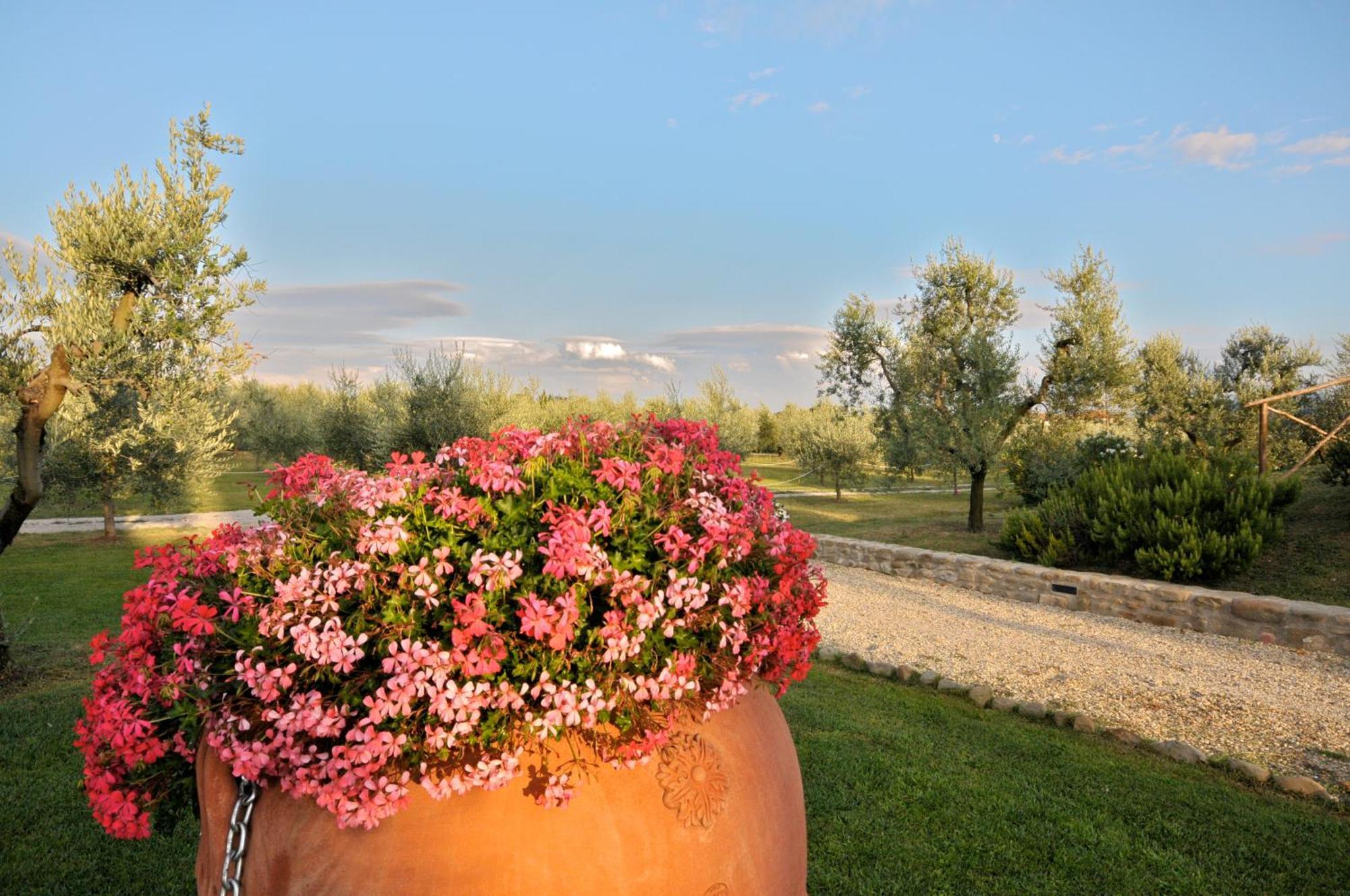 Agriturismo San Rocco Pistoia Ngoại thất bức ảnh